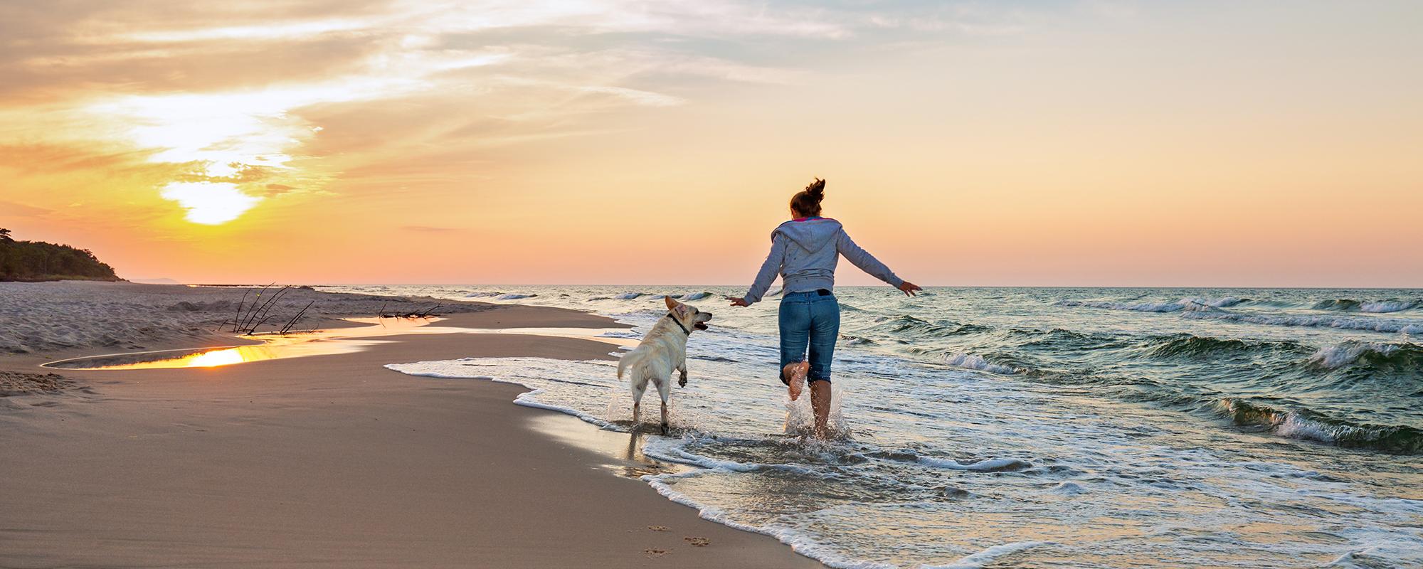 Reisen mit dem Hund