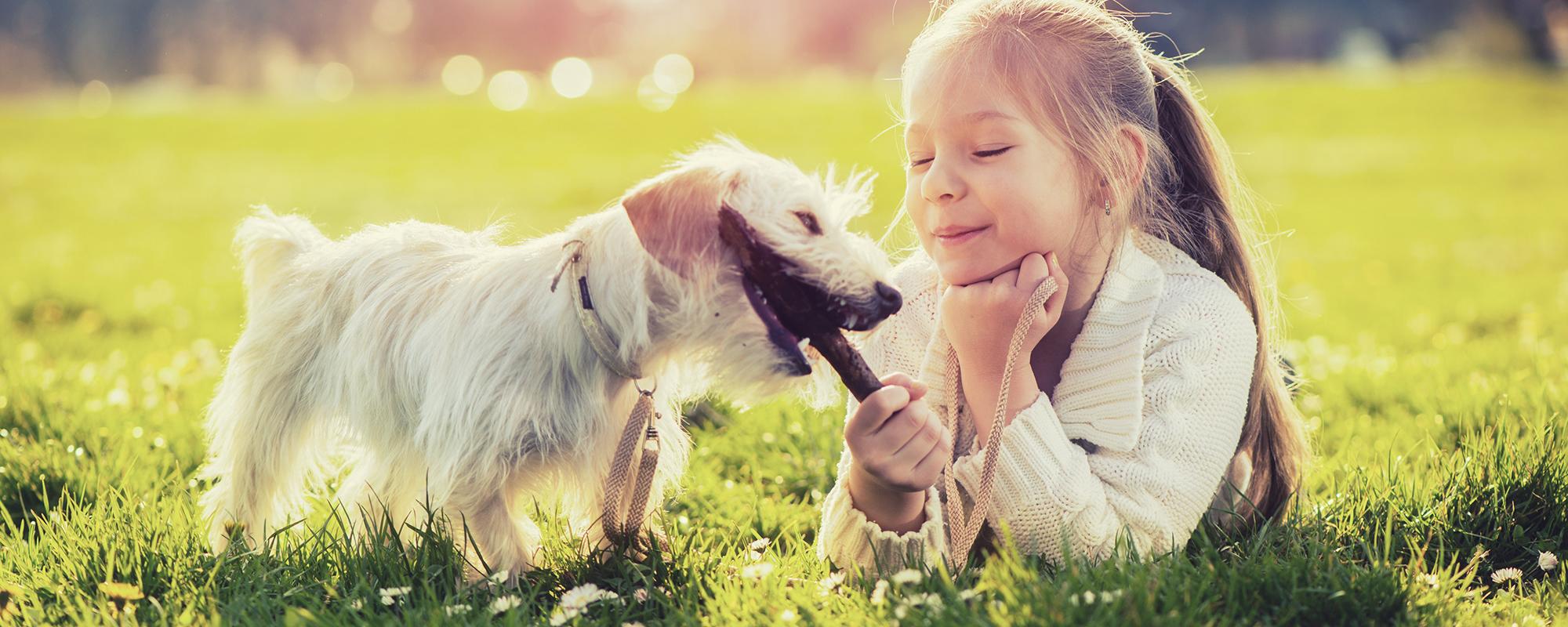 mädchen mit hund auf wiese Was Kinder von Hunden lernen können
