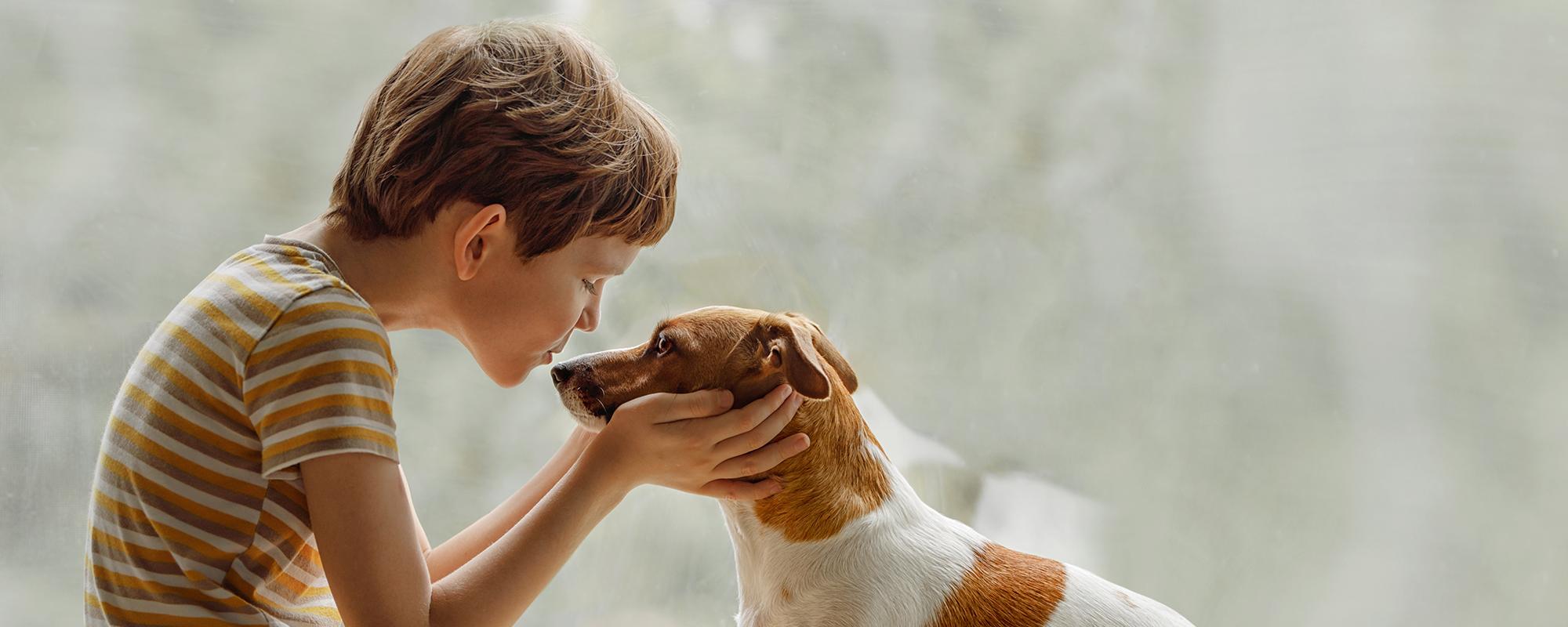 junge mit hund Kinder und Hunde – Regeln zum richtigen Umgang