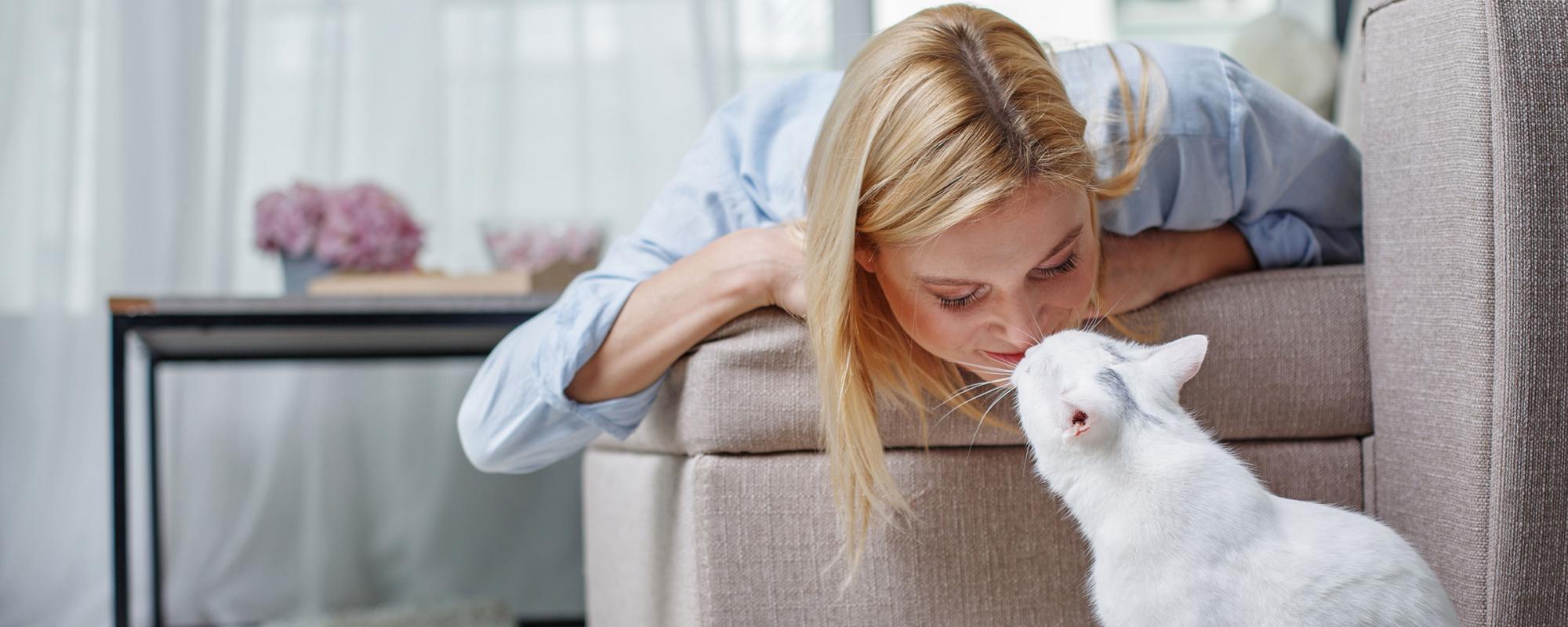 katze und frauchen Woran aber erkennt eine Katze eigentlich seinen Besitzer?