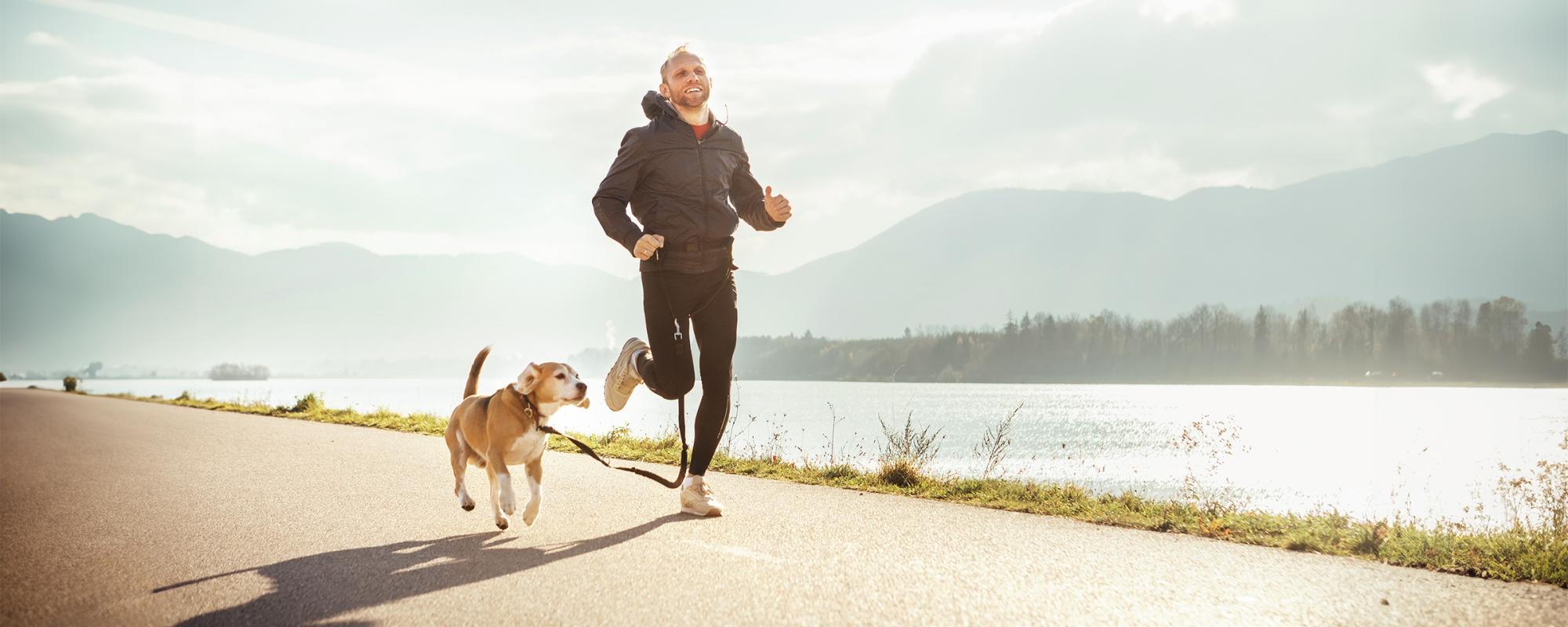 hund-jogger