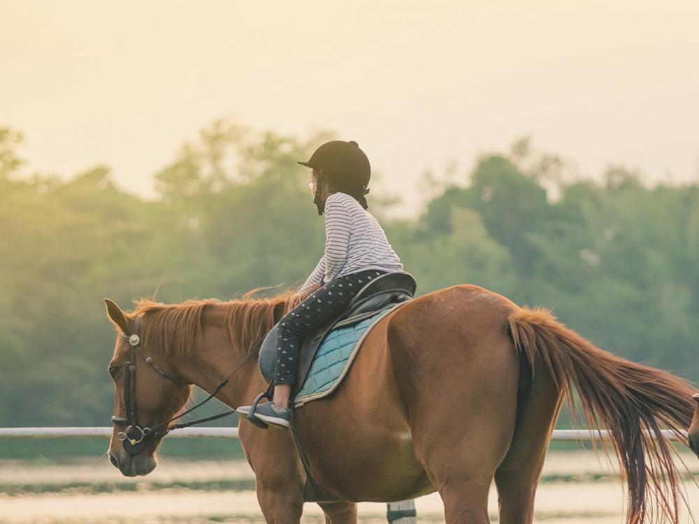 reiten lernen