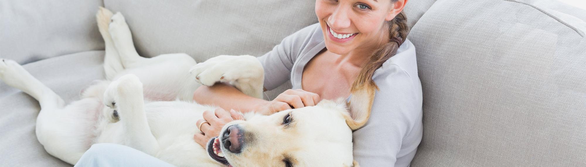 hunde machen glücklich